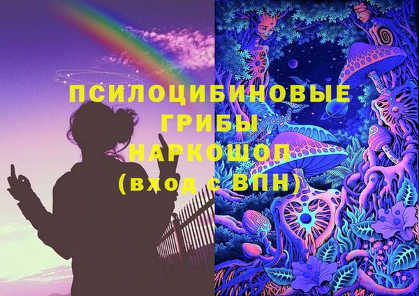 apvp Алексин