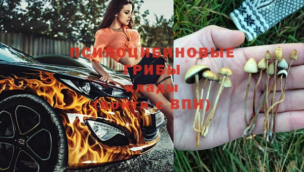 apvp Алексин