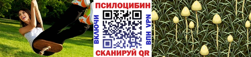 KRAKEN зеркало  Богородск  Галлюциногенные грибы Psilocybine cubensis  где найти наркотики 