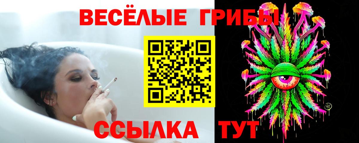 Псилоцибиновые грибы ЛСД Богородск